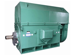 YKK4001-4Y系列6KV高压电机