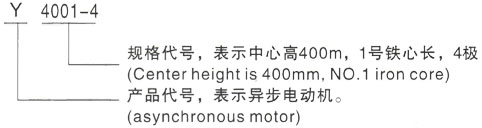 西安泰富西玛Y系列(H355-1000)高压YKK4001-4三相异步电机型号说明